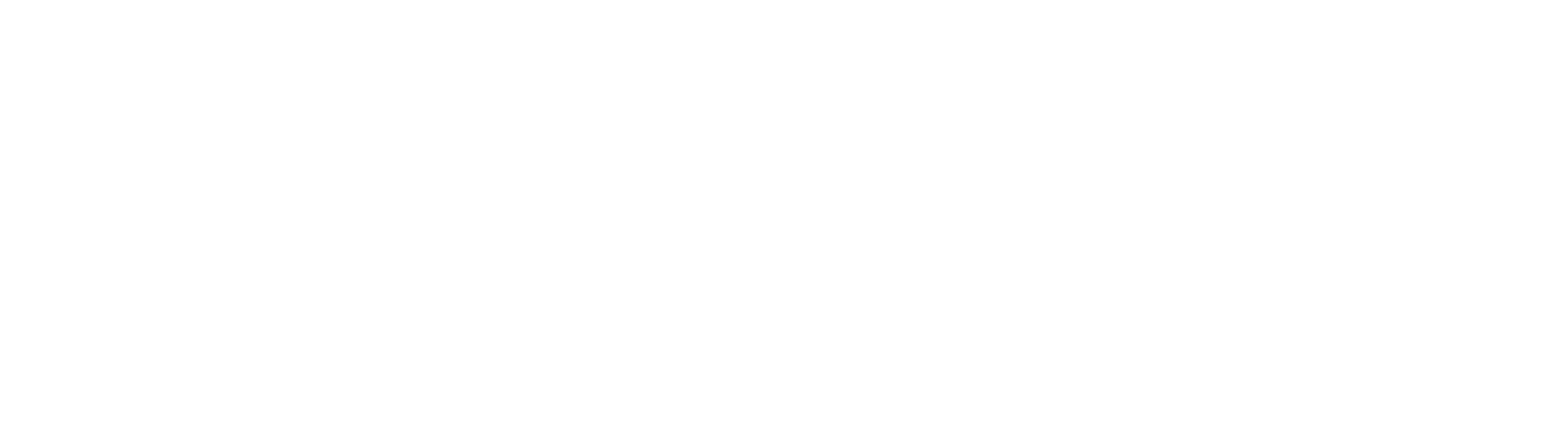 The Paragon